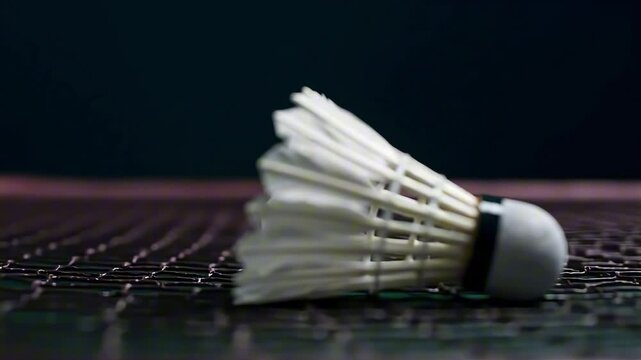 Intense Badminton Sports Action Close-Up of Shuttlecock on Net