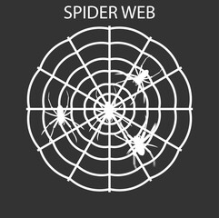 A spider web silhoutte vector illustration . 