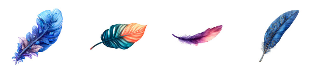 Collection of Vibrant Feather Illustrations, Cut Out Transparent