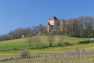 Obraz premium Medieval castle of Le Pin dominating vineyards and green fields in Jura, Bourgogne Franche Comte, France