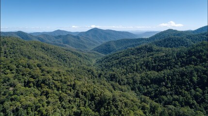 Naklejka premium Wide aerial view of entire forest and green fields, vibrant green trees against blue sky, serene yet lively landscape capturing pure natural beauty.