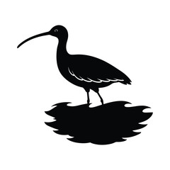 Curlew in Tidal Pool Vector Silhouette