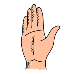 Palm of the hand vector isolated. Hand-drawn illustration of a human hand. Doodle sketch.