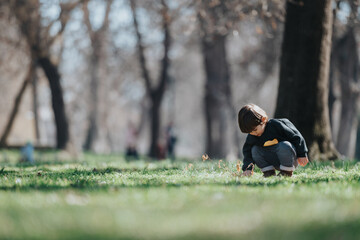 Young child outdoors in a park, curiously observing the grass and plants amidst sunny surroundings,...