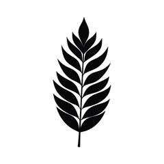 Fototapeta premium Minimalist Acacia Leaf Vector Silhouette