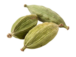 Close-up of Fresh Green Cardamom Pods Isolated on transparent background, Isolated Png file, Cut-out, Isolate Png, No Background, Isolated object

