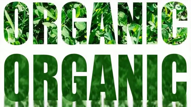 Word ORGANIC filled with vibrant green leaves and foliage on white background. Text ORGANIC filled with lush green leaves and foliage, nature concept emphasizing green environment