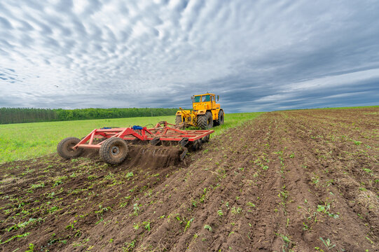 Spring photography, landscape with agricultural machinery, a tractor plows the land, plows a field, birds fly over arable land