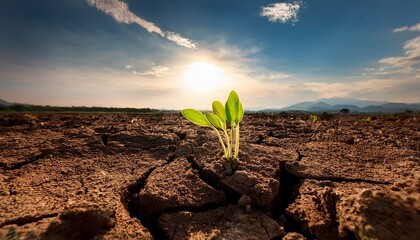 枯れた大地から生える小さな野菜、強い生命力を感じる画像 Generated by AI
