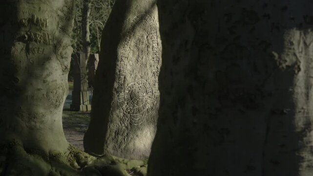 Historical Rune stone in an old danish cemetery. The picture is a revealing shot, with a parallax effect.