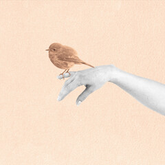 Abstract woman with European Robin bird on finger collage illustration. Bird toned with beige color. Grunge, noise and grain effect applied. Retro vintage style
