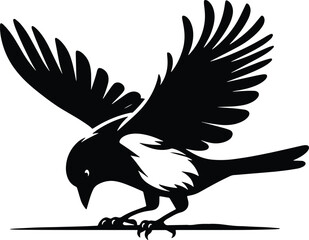 Beautiful Magpie bird vector silhouette illustration isolated on a white background