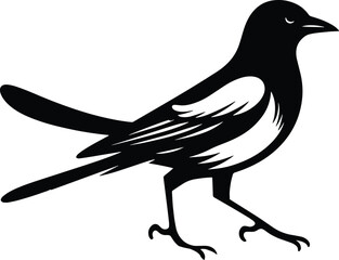 Beautiful Magpie bird vector silhouette illustration isolated on a white background