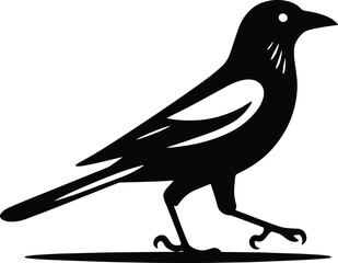 Beautiful Magpie bird vector silhouette illustration isolated on a white background