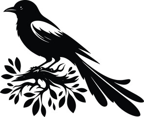 Beautiful Magpie bird vector silhouette illustration isolated on a white background