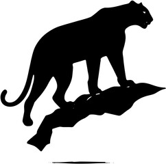 silhouette of a leopard