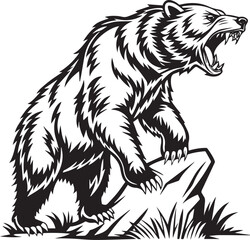 brown bear vector illustration