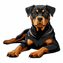 Fototapeta premium Charming Rottweiler Dog Vector – Pet Puppy Portrait Drawing