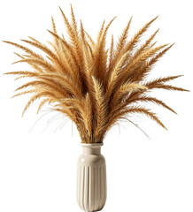 Dried Pampas Grass in Tall Vase, Isolated on Transparent Background for Home Decor and Interior Design Use