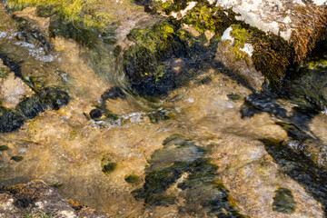Samll stream flowing over rocks in sunlight