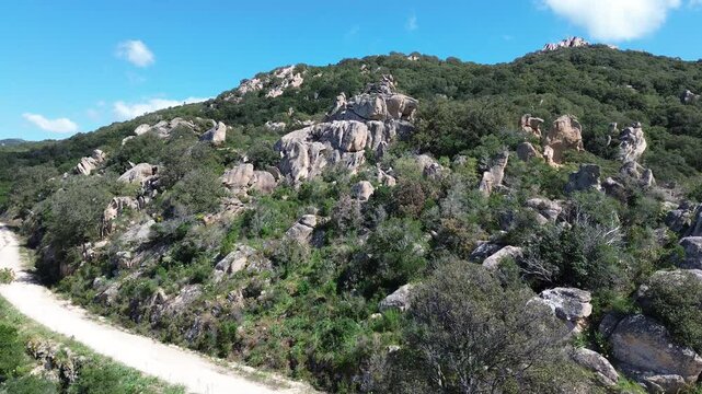 Drone dans le maquis Corse
