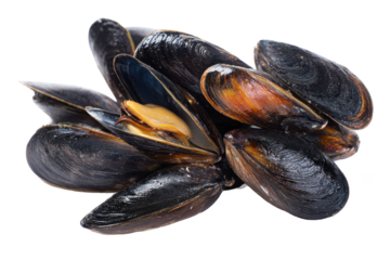 Fresh Mussels A Culinary Delight - High-Resolution Seafood Image