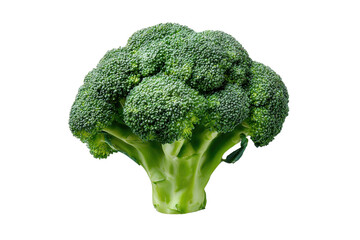 Close-up view of fresh broccoli head.