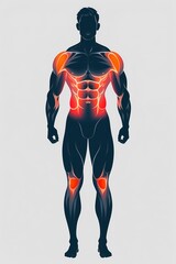 A full-body human silhouette (neutral pose gender-neutral) viewed from the front with specific muscle groups (e.g. shoulders core quads back) glowing in soft red or orange. The rest of the body is...