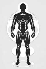 A pure black silhouette of a human body with clean white circular halos around individual muscle groups (e.g. deltoids glutes thighs). High contrast with a white background infographic-inspired...