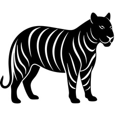 Obraz premium silhouette tiger in snow contrasting stripes agai