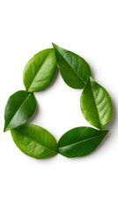 Obraz premium Eco-friendly recycling symbol made from fresh green leaves