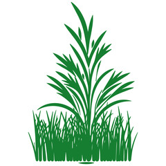 grass, plant, leaf bushes vector 
