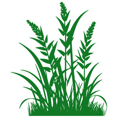 grass, nature, plant,leaf,ambush isolated vector 