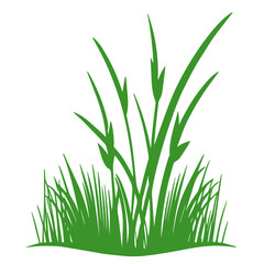 grass, nature, plant,leaf,ambush isolated vector 