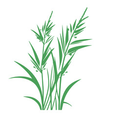 grass, nature, plant,leaf,ambush isolated vector 