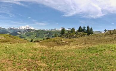 Fototapeta premium Scenic mountain landscape view with vast green fields and snowy peaks