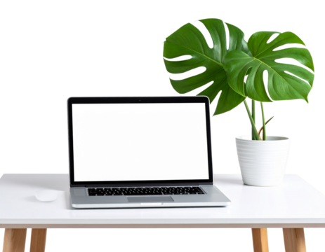 Clean Home Office Desk with Laptop and Monstera Plant, Transparent Background - Powered by Adobe