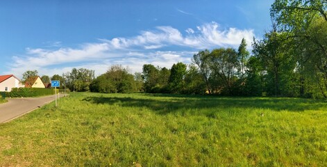 Panoramic view of a serene countryside landscape with green fields and trees