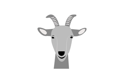 goat on white background, goat