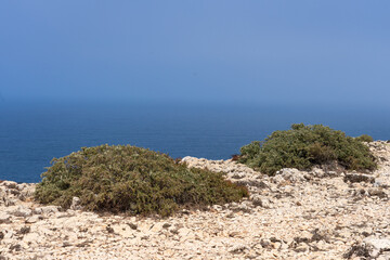 San Vicente Cape cliffs in the Algarve region of Portugal in a sunny day.