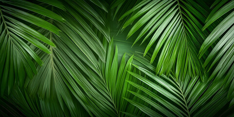 Close-Up of Large Tropical Palm Leaf with Natural Deep Green Texture