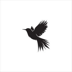 Obraz premium graphic image of a beautiful bird, black on a white background 