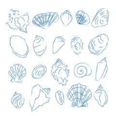 Hand drawn seashell collection vector, hand drawm summer vibes, hand drawn beach line art