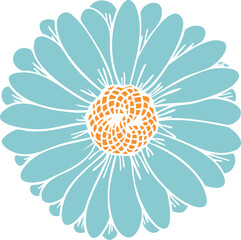 Daisy flower vector clipart. Hand-drawn flower illustration