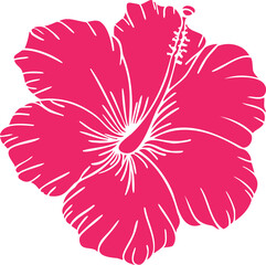 Pink hibiscus bud vector clipart. Hand-drawn flower illustration