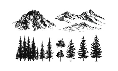 Snowy Mountain Terrain Illustration, Engraved Cold Forest Pack, Narrow Pine Vector, Alpine Fir Tree Silhouettes, Ski Forest Scene, Winter Woods, Vector Illustration, Evergreen, Cutout.