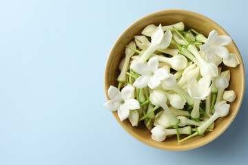 Beautiful jasmine flowers in bowl on light blue background, top view. Space for text
