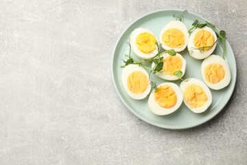 Hard boiled eggs with microgreens on grey table, top view. Space for text