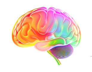 Vibrant Colorful Human Brain Illustration Isolated on white background