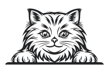 Obraz premium Smiling Cat Portrait: Fluffy Fur, Detailed Vector Illustration in Black and White (Vector Art) 